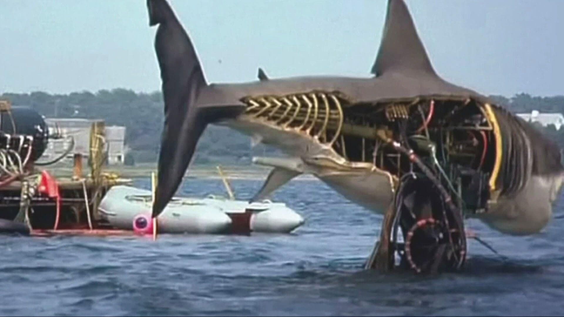 FOTO: La Película Tiburón de Steven Spielberg Cumple 50 Años