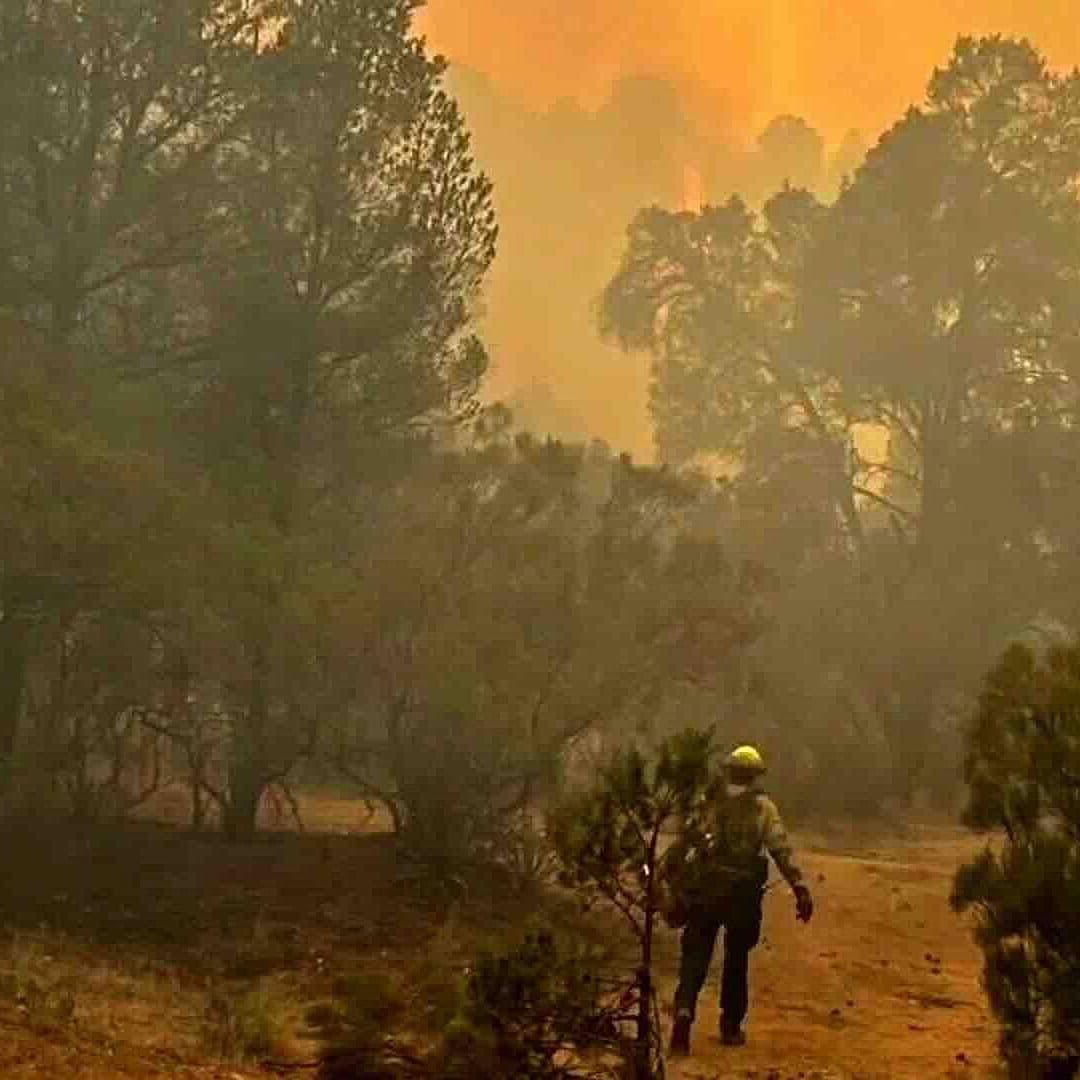 Foto | Incendio Forestal en Tecate Afecta 12 Mil Hectáreas y Activa Prealerta en Baja California