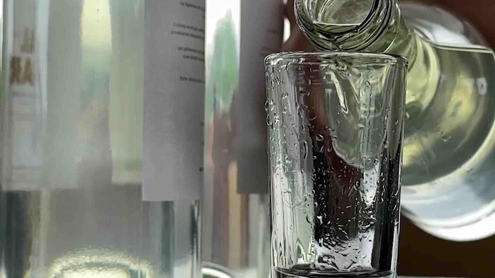 Foto | Vino de Cocos Regresa en Colima Tras 300 Años y Rescata Tradición Ancestral