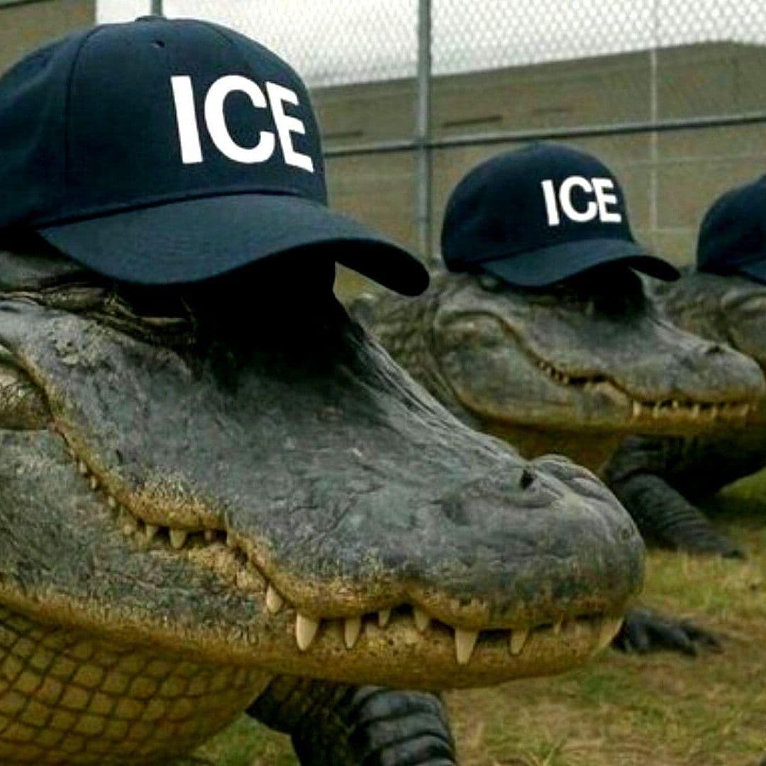 Abren Centro de Detención para Migrantes en Florida, Rodeado de Caimanes