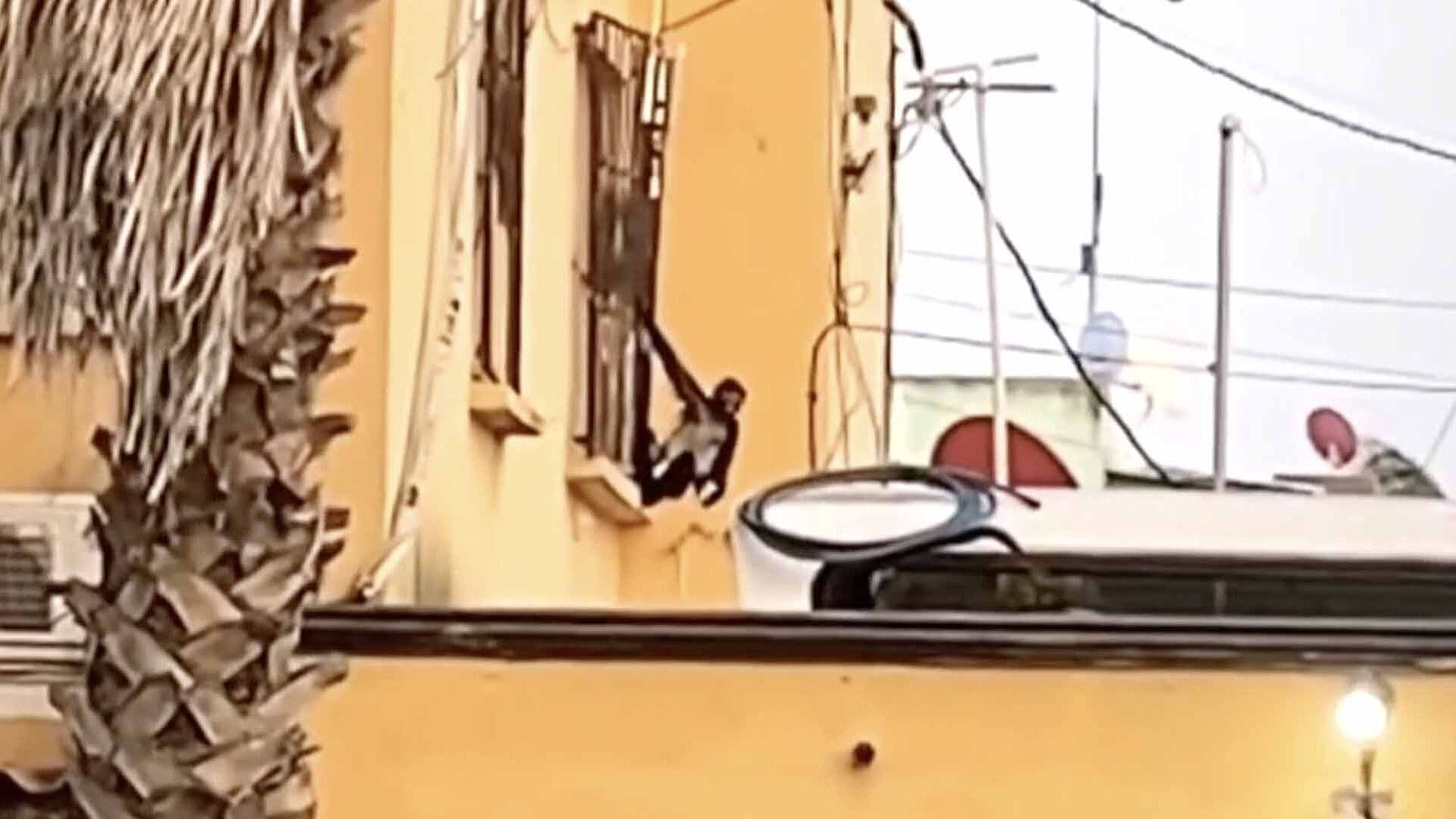 Instituciones educativas están integrando herramientas digitales en sus programas académicos .