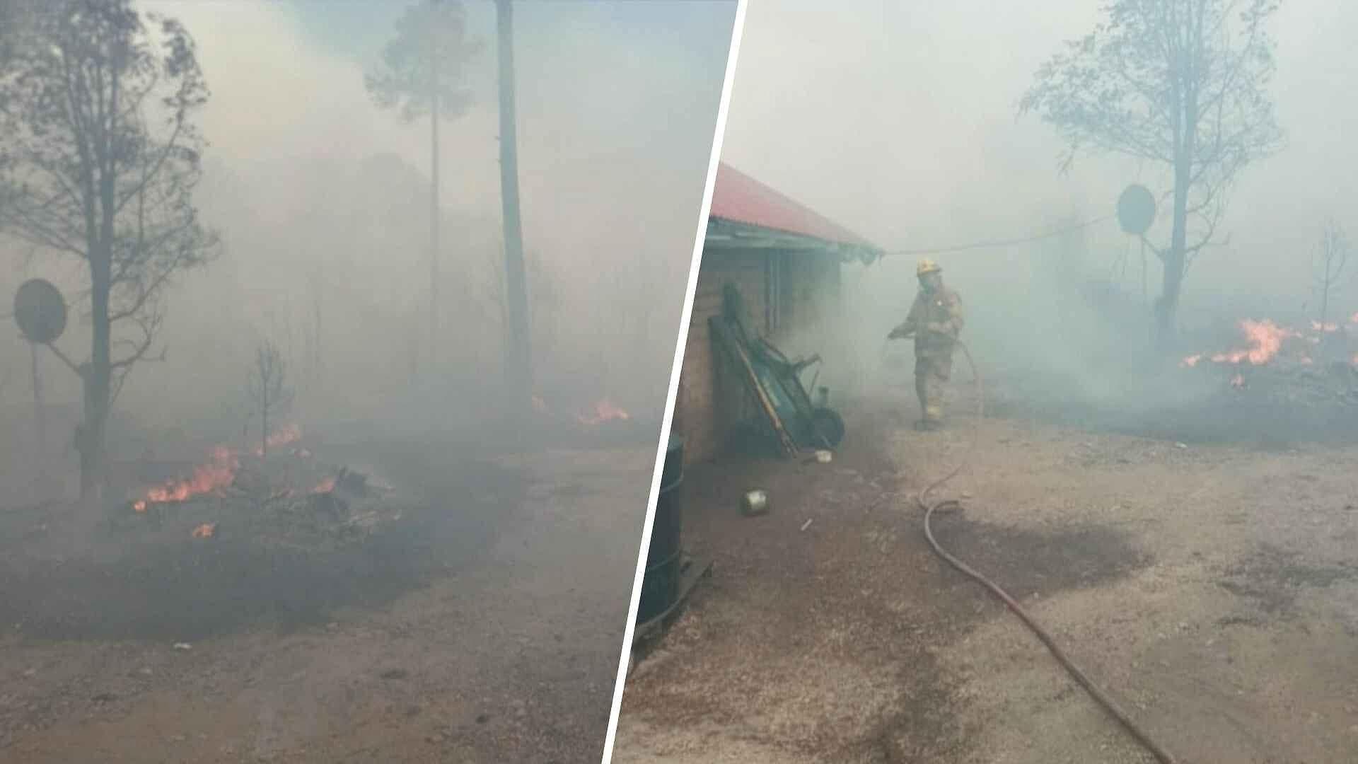 Establecen Medidas Preventivas en Bocoyna por Incendio Forestal