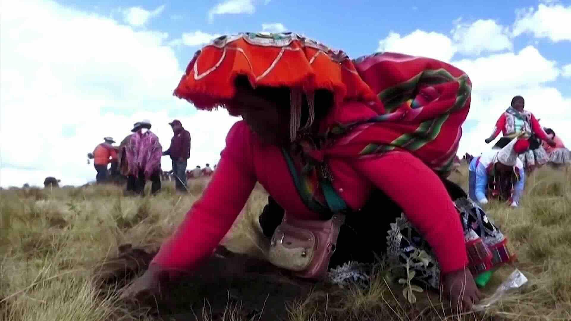 Perú Lanza Programa de Reforestación en Los Andes para Combatir Cambio Climático