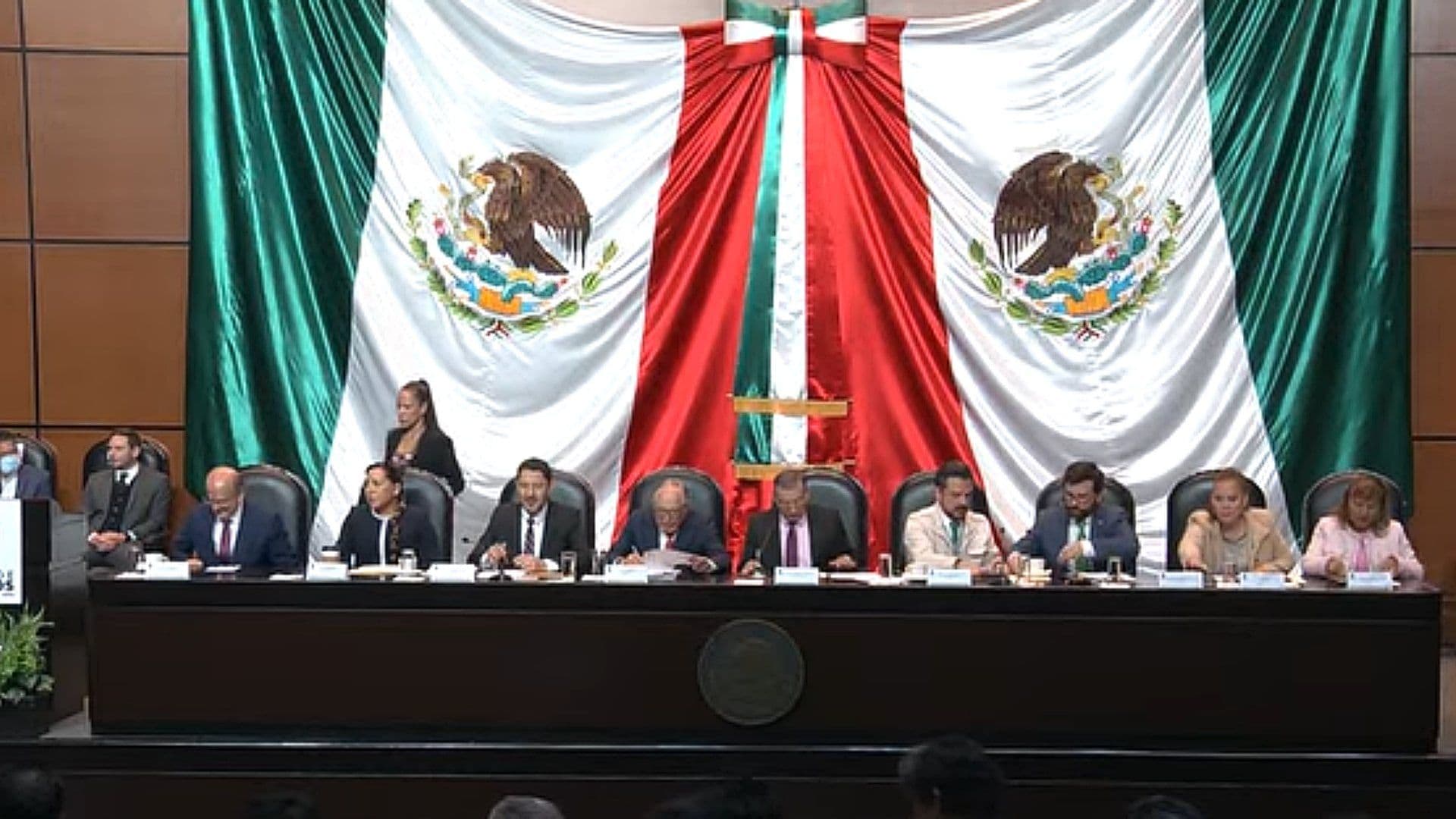 Comparecencia de titulares de Salud en la Cámara de Diputados