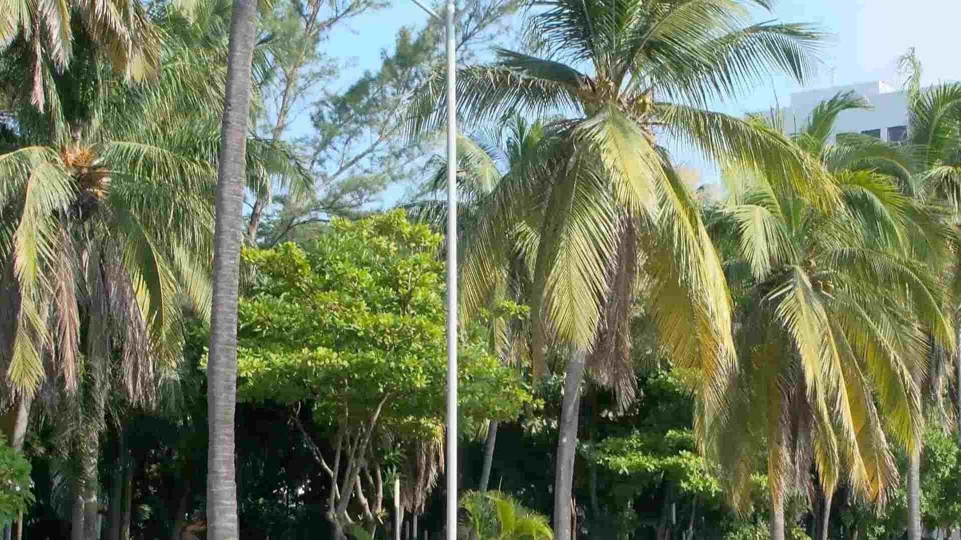 1758597732929-snapshot.jpg