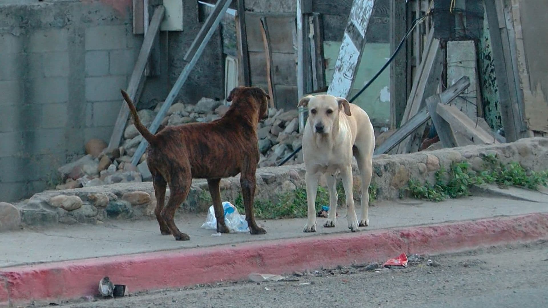 1758772605351-snapshot.jpg
