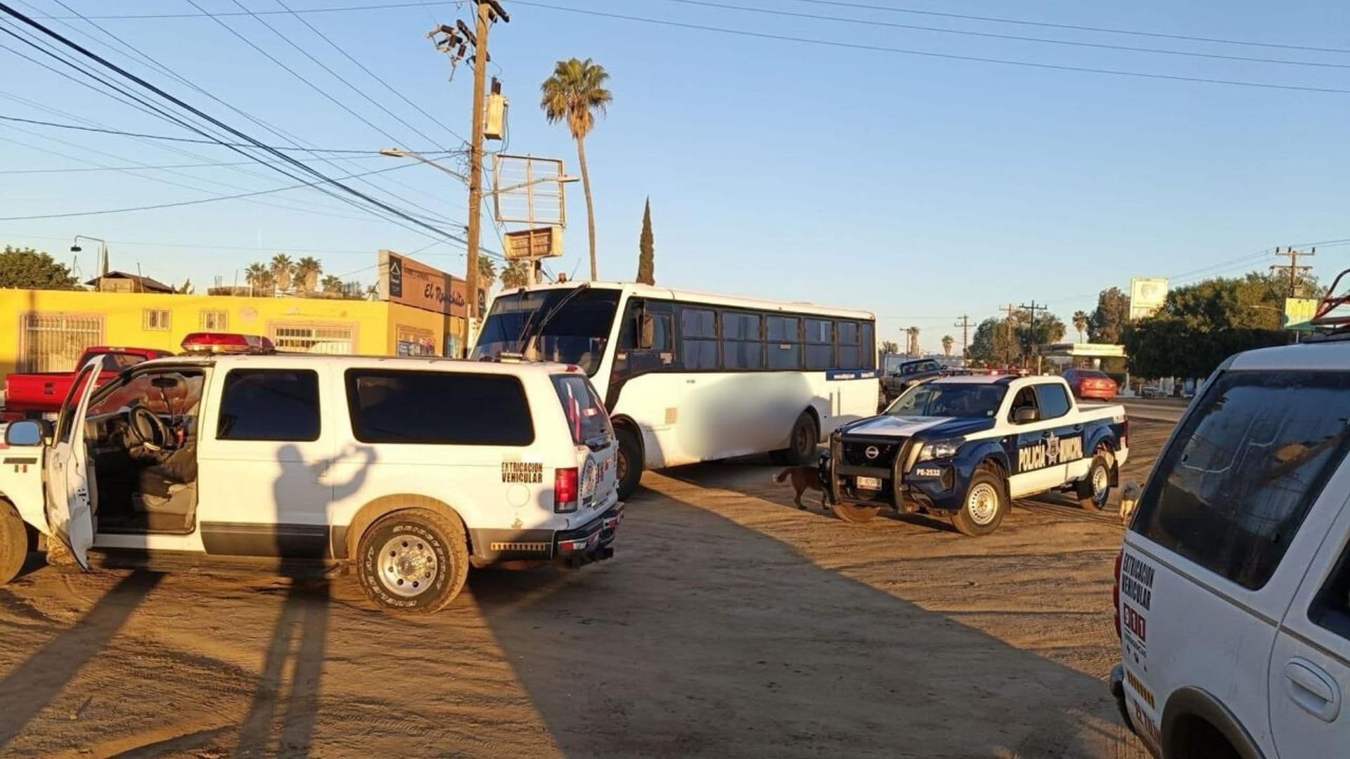 Mujer Sufre Fractura tras Ser Atropellada por Camión de Personal en San Vicente