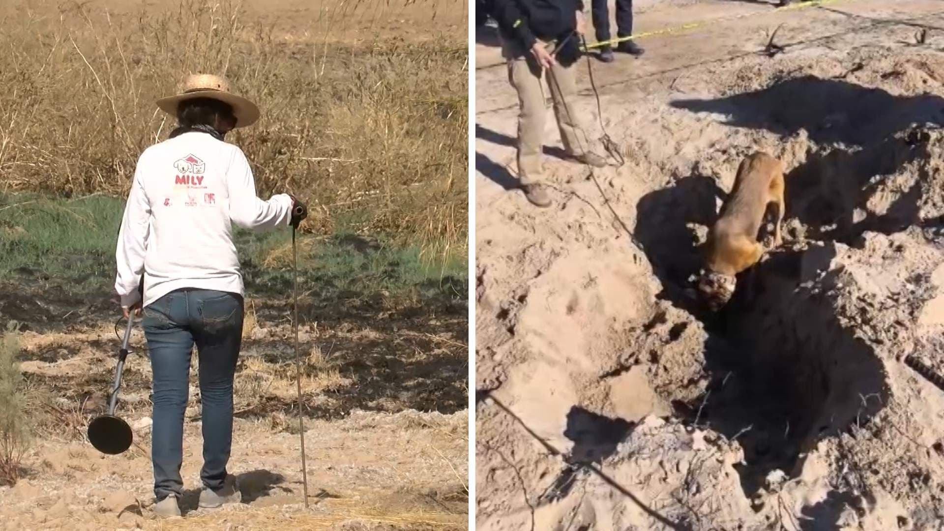 Drones y Binomios Caninos: Así Implementa Célula de búsqueda en BC Tecnología de Georrastreo