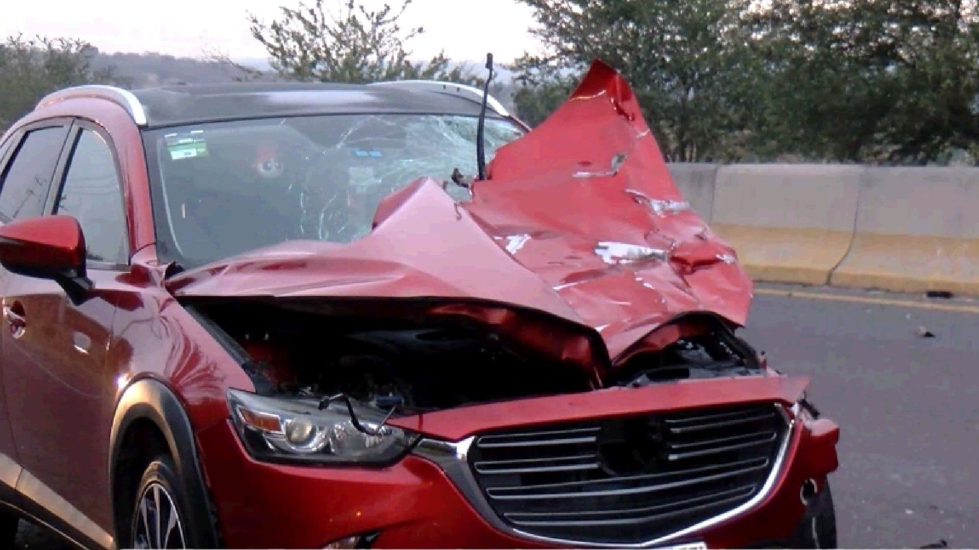 Una mujer chocó contra una vaca en Tonalá