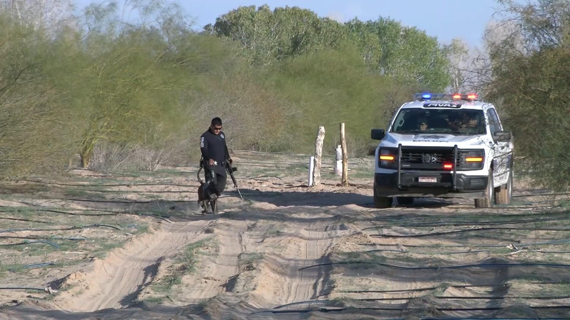 Hallan 15 Fosas Clandestinas en Mexicali, BC; Nueve Cuerpos ya Fueron Identificados