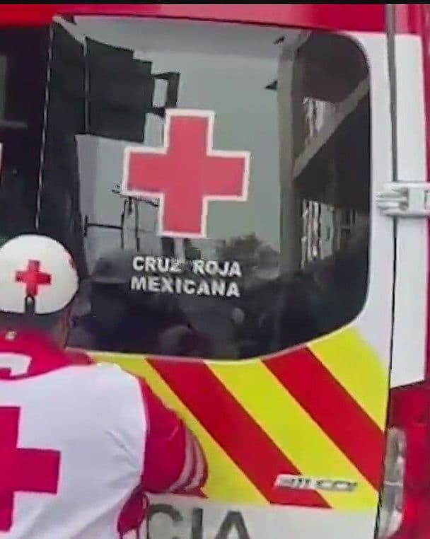 Cover de programa de N+